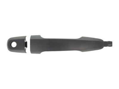 Exterior Door Handle BLIC 6010-15-041401P