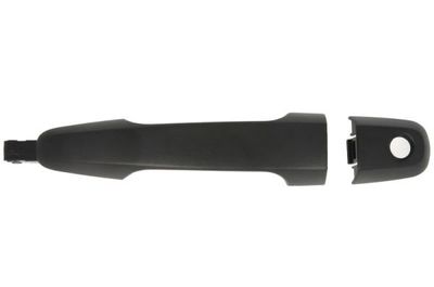 Exterior Door Handle BLIC 6010-15-041402P
