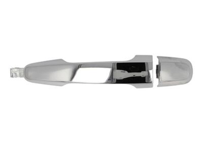Exterior Door Handle BLIC 6010-15-041406P