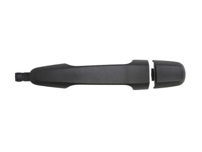 Exterior Door Handle BLIC 6010-15-041406PP