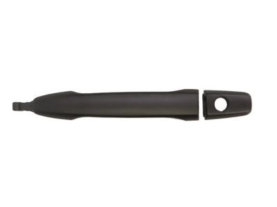 Exterior Door Handle BLIC 6010-15-051401P