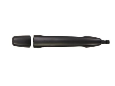 Exterior Door Handle BLIC 6010-15-051402P