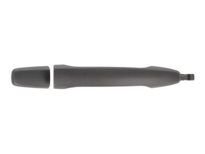 Exterior Door Handle BLIC 6010-15-051403P