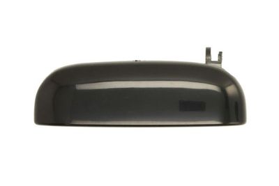 Exterior Door Handle BLIC 6010-16-009401PP