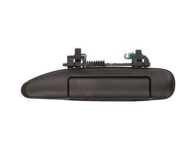 Exterior Door Handle BLIC 6010-16-020401P