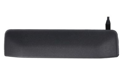 Exterior Door Handle BLIC 6010-16-023401P