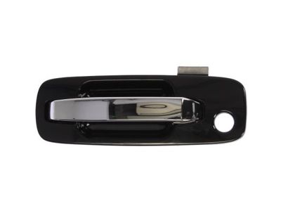 Exterior Door Handle BLIC 6010-16-029401P