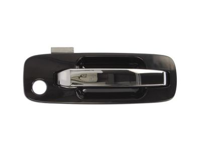 Exterior Door Handle BLIC 6010-16-029402P