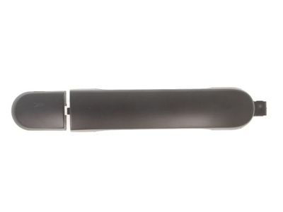 Exterior Door Handle BLIC 6010-16-033401P