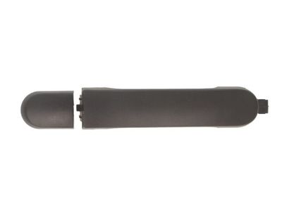 Exterior Door Handle BLIC 6010-16-033402P