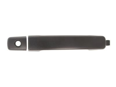 Exterior Door Handle BLIC 6010-16-038401P