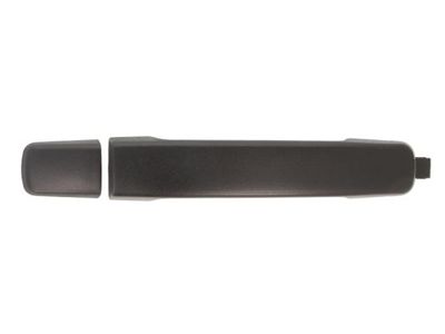 Exterior Door Handle BLIC 6010-16-038402P