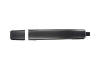 Exterior Door Handle BLIC 6010-16-038402PP