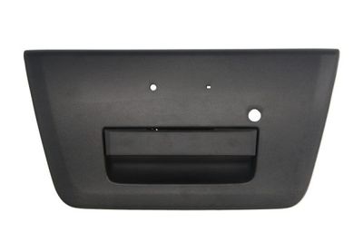 Exterior Door Handle BLIC 6010-16-038417P