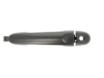 Exterior Door Handle BLIC 6010-16-059401P