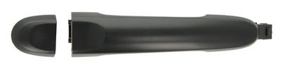 Exterior Door Handle BLIC 6010-16-059402P