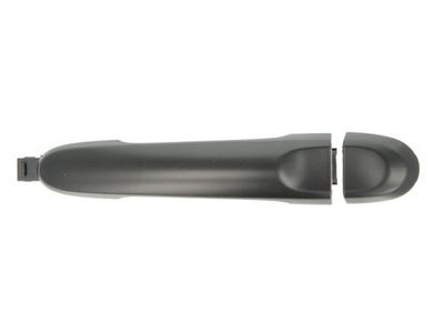 Exterior Door Handle BLIC 6010-16-061406P