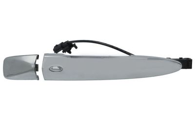 Exterior Door Handle BLIC 6010-16-969401C