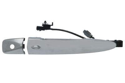 Exterior Door Handle BLIC 6010-16-969402C