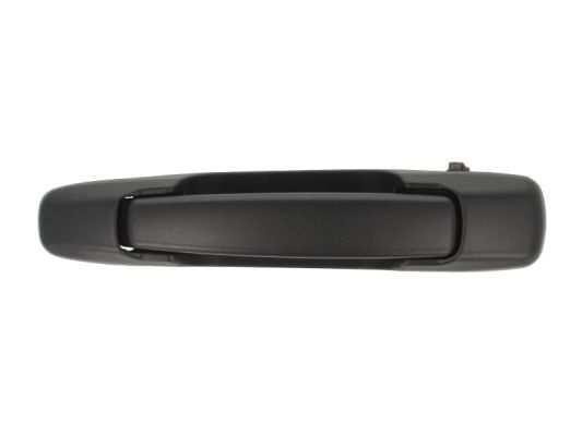 BLIC 6010-17-008401P Exterior Door Handle