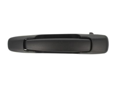 Exterior Door Handle BLIC 6010-17-008401P