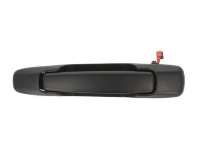 Exterior Door Handle BLIC 6010-17-008403P