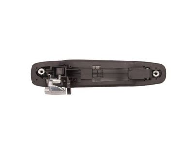Exterior Door Handle BLIC 6010-17-012402P