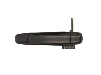 Exterior Door Handle BLIC 6010-17-012404P