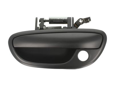 Exterior Door Handle BLIC 6010-17-015401P