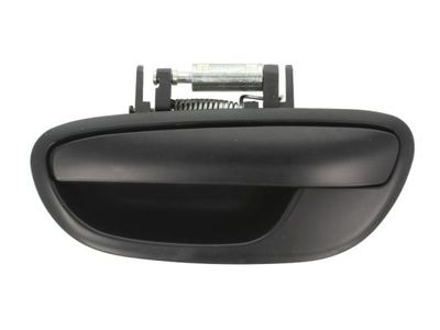 Exterior Door Handle BLIC 6010-17-015403P