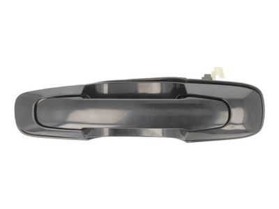 Exterior Door Handle BLIC 6010-18-014401P