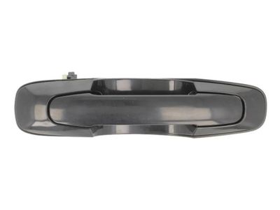 Exterior Door Handle BLIC 6010-18-014402P