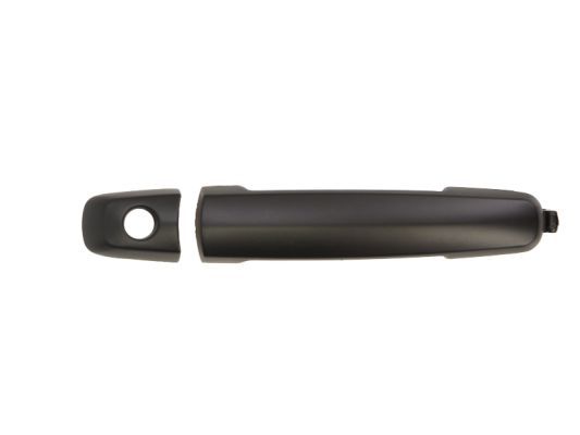 BLIC 6010-18-021401P Exterior Door Handle