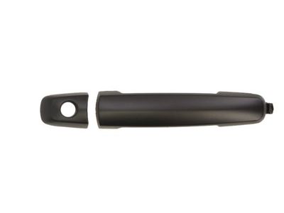 Exterior Door Handle BLIC 6010-18-021401P
