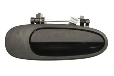 Exterior Door Handle BLIC 6010-19-002404P