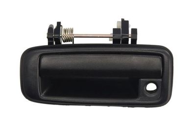 Exterior Door Handle BLIC 6010-19-004401P