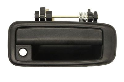 Exterior Door Handle BLIC 6010-19-004402P