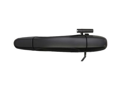 Exterior Door Handle BLIC 6010-19-005403P