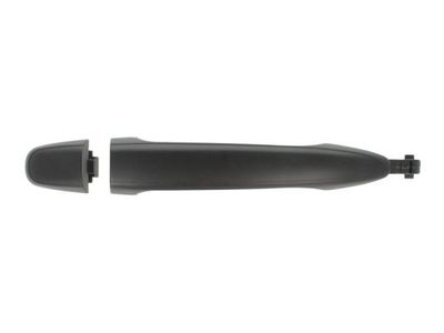 Exterior Door Handle BLIC 6010-19-011406P