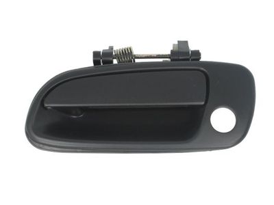 Exterior Door Handle BLIC 6010-19-017401P