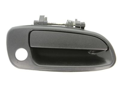 Exterior Door Handle BLIC 6010-19-017402P