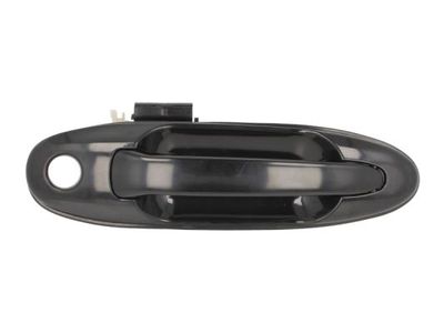 Exterior Door Handle BLIC 6010-19-035402P