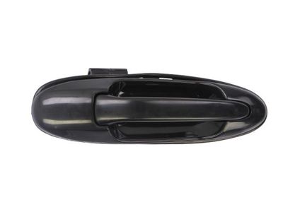 Exterior Door Handle BLIC 6010-19-035404P