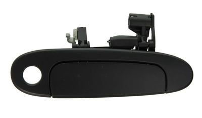 Exterior Door Handle BLIC 6010-19-039402P