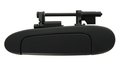 Exterior Door Handle BLIC 6010-19-039403P