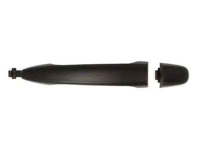 Exterior Door Handle BLIC 6010-19-051402P