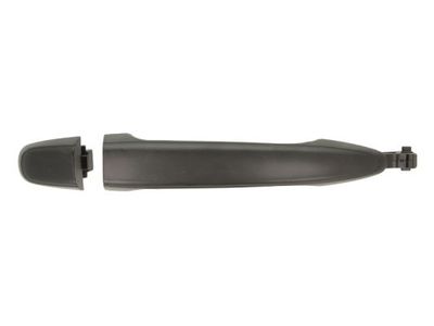 Exterior Door Handle BLIC 6010-19-051406P