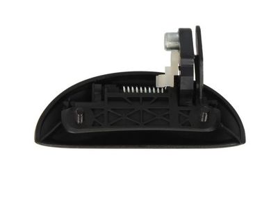 Exterior Door Handle BLIC 6010-19-055402P