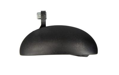 Exterior Door Handle BLIC 6010-19-055404P