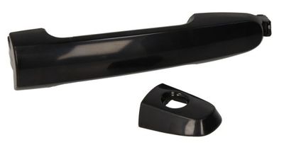 Exterior Door Handle BLIC 6010-19-059401P